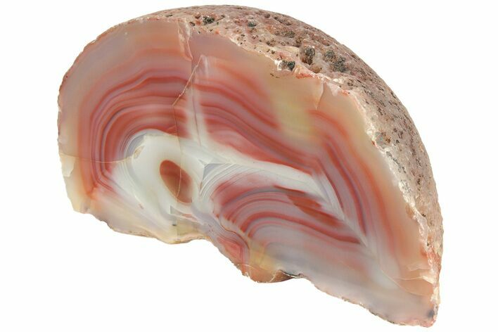 Colorful, Polished Patagonia Agate - Highly Fluorescent! #214919